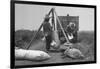 Cotton Weighing-Dorothea Lange-Framed Art Print