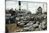 Cotton Wharves, New Orleans, Louisiana, USA, Early 20th Century-null-Mounted Giclee Print