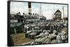 Cotton Wharves, New Orleans, Louisiana, USA, Early 20th Century-null-Framed Stretched Canvas