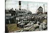 Cotton Wharves, New Orleans, Louisiana, USA, Early 20th Century-null-Stretched Canvas