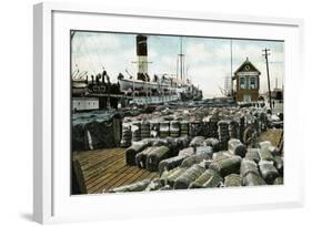 Cotton Wharves, New Orleans, Louisiana, USA, Early 20th Century-null-Framed Giclee Print