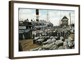 Cotton Wharves, New Orleans, Louisiana, USA, Early 20th Century-null-Framed Giclee Print