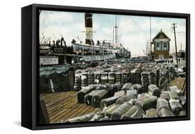 Cotton Wharves, New Orleans, Louisiana, USA, Early 20th Century-null-Framed Stretched Canvas