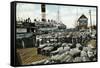 Cotton Wharves, New Orleans, Louisiana, USA, Early 20th Century-null-Framed Stretched Canvas