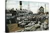 Cotton Wharves, New Orleans, Louisiana, USA, Early 20th Century-null-Stretched Canvas