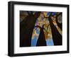 Cotton Woods-Shenshen Dou-Framed Photographic Print