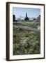 Cottongrass and a church in the background-Natalie Tepper-Framed Photo