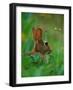 Cottontail Rabbit in the Grass-Joe McDonald-Framed Photographic Print