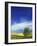 Cottonwood and Canola fields, Whitman County, Washington, USA-Charles Gurche-Framed Photographic Print