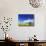 Cottonwood and Canola fields, Whitman County, Washington, USA-Charles Gurche-Photographic Print displayed on a wall