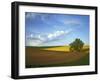 Cottonwood and Palouse Fields, Whitman County, Washington, USA-Charles Gurche-Framed Premium Photographic Print