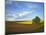 Cottonwood and Palouse Fields, Whitman County, Washington, USA-Charles Gurche-Mounted Premium Photographic Print