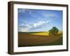 Cottonwood and Palouse Fields, Whitman County, Washington, USA-Charles Gurche-Framed Photographic Print