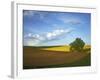 Cottonwood and Palouse Fields, Whitman County, Washington, USA-Charles Gurche-Framed Photographic Print