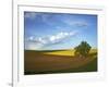 Cottonwood and Palouse Fields, Whitman County, Washington, USA-Charles Gurche-Framed Photographic Print