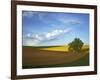 Cottonwood and Palouse Fields, Whitman County, Washington, USA-Charles Gurche-Framed Photographic Print