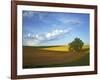 Cottonwood and Palouse Fields, Whitman County, Washington, USA-Charles Gurche-Framed Photographic Print