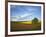 Cottonwood and Palouse Fields, Whitman County, Washington, USA-Charles Gurche-Framed Photographic Print