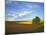 Cottonwood and Palouse Fields, Whitman County, Washington, USA-Charles Gurche-Mounted Photographic Print