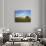 Cottonwood and Palouse Fields, Whitman County, Washington, USA-Charles Gurche-Photographic Print displayed on a wall