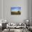 Cottonwood and Palouse Fields, Whitman County, Washington, USA-Charles Gurche-Stretched Canvas displayed on a wall