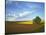 Cottonwood and Palouse Fields, Whitman County, Washington, USA-Charles Gurche-Stretched Canvas