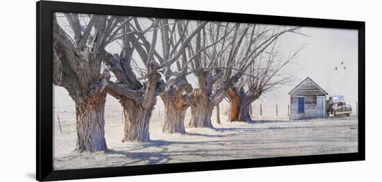 Cottonwood and Pickup-Chris Vest-Framed Art Print