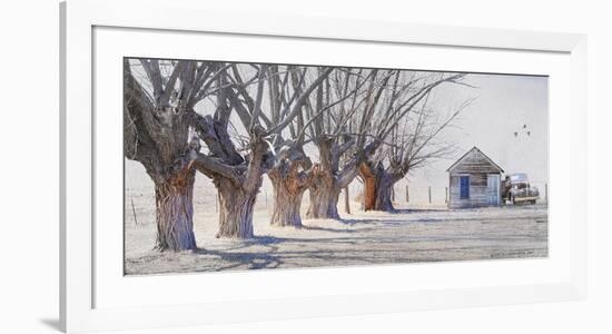 Cottonwood and Pickup-Chris Vest-Framed Art Print