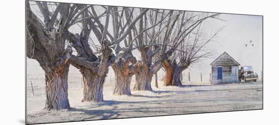 Cottonwood and Pickup-Chris Vest-Mounted Art Print