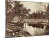 Cottonwood Bend, Valley of the Yosemite, 1872 (Mammoth-Plate Albumen Print)-Eadweard Muybridge-Mounted Giclee Print