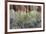 Cottonwood grove grows in canyon, Utah-Art Wolfe-Framed Photographic Print