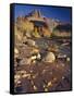 Cottonwood Leaves along Sulphur Creek, The Castle, Capitol Reef National Park, Utah, USA-Scott T. Smith-Framed Stretched Canvas