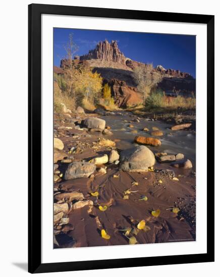 Cottonwood Leaves along Sulphur Creek, The Castle, Capitol Reef National Park, Utah, USA-Scott T. Smith-Framed Photographic Print