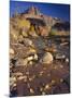 Cottonwood Leaves along Sulphur Creek, The Castle, Capitol Reef National Park, Utah, USA-Scott T. Smith-Mounted Photographic Print