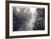 Cottonwood Slough-Donald Satterlee-Framed Giclee Print