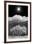 Cottonwood & Sunbeams, Canyon de Chelly, Arizona 10-Monte Nagler-Framed Photographic Print