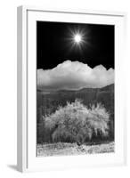 Cottonwood & Sunbeams, Canyon de Chelly, Arizona 10-Monte Nagler-Framed Photographic Print