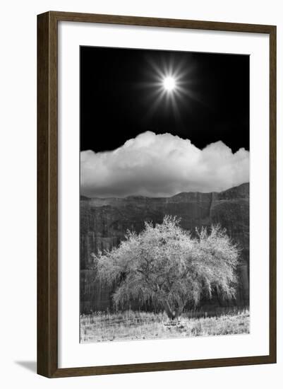 Cottonwood & Sunbeams, Canyon de Chelly, Arizona 10-Monte Nagler-Framed Photographic Print