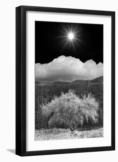 Cottonwood & Sunbeams, Canyon de Chelly, Arizona 10-Monte Nagler-Framed Photographic Print