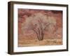 Cottonwood Tree, Capitol Reef National Park, Utah, United States of America, North America-Jean Brooks-Framed Photographic Print