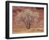 Cottonwood Tree, Capitol Reef National Park, Utah, United States of America, North America-Jean Brooks-Framed Photographic Print