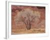 Cottonwood Tree, Capitol Reef National Park, Utah, United States of America, North America-Jean Brooks-Framed Photographic Print