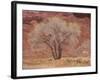 Cottonwood Tree, Capitol Reef National Park, Utah, United States of America, North America-Jean Brooks-Framed Photographic Print