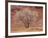 Cottonwood Tree, Capitol Reef National Park, Utah, United States of America, North America-Jean Brooks-Framed Photographic Print