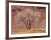 Cottonwood Tree, Capitol Reef National Park, Utah, United States of America, North America-Jean Brooks-Framed Photographic Print