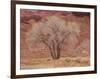 Cottonwood Tree, Capitol Reef National Park, Utah, United States of America, North America-Jean Brooks-Framed Photographic Print