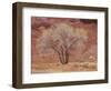 Cottonwood Tree, Capitol Reef National Park, Utah, United States of America, North America-Jean Brooks-Framed Photographic Print