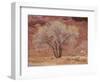 Cottonwood Tree, Capitol Reef National Park, Utah, United States of America, North America-Jean Brooks-Framed Photographic Print