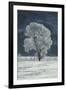 Cottonwood Tree Covered In Ice-Magrath Photography-Framed Photographic Print