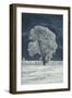 Cottonwood Tree Covered In Ice-Magrath Photography-Framed Photographic Print